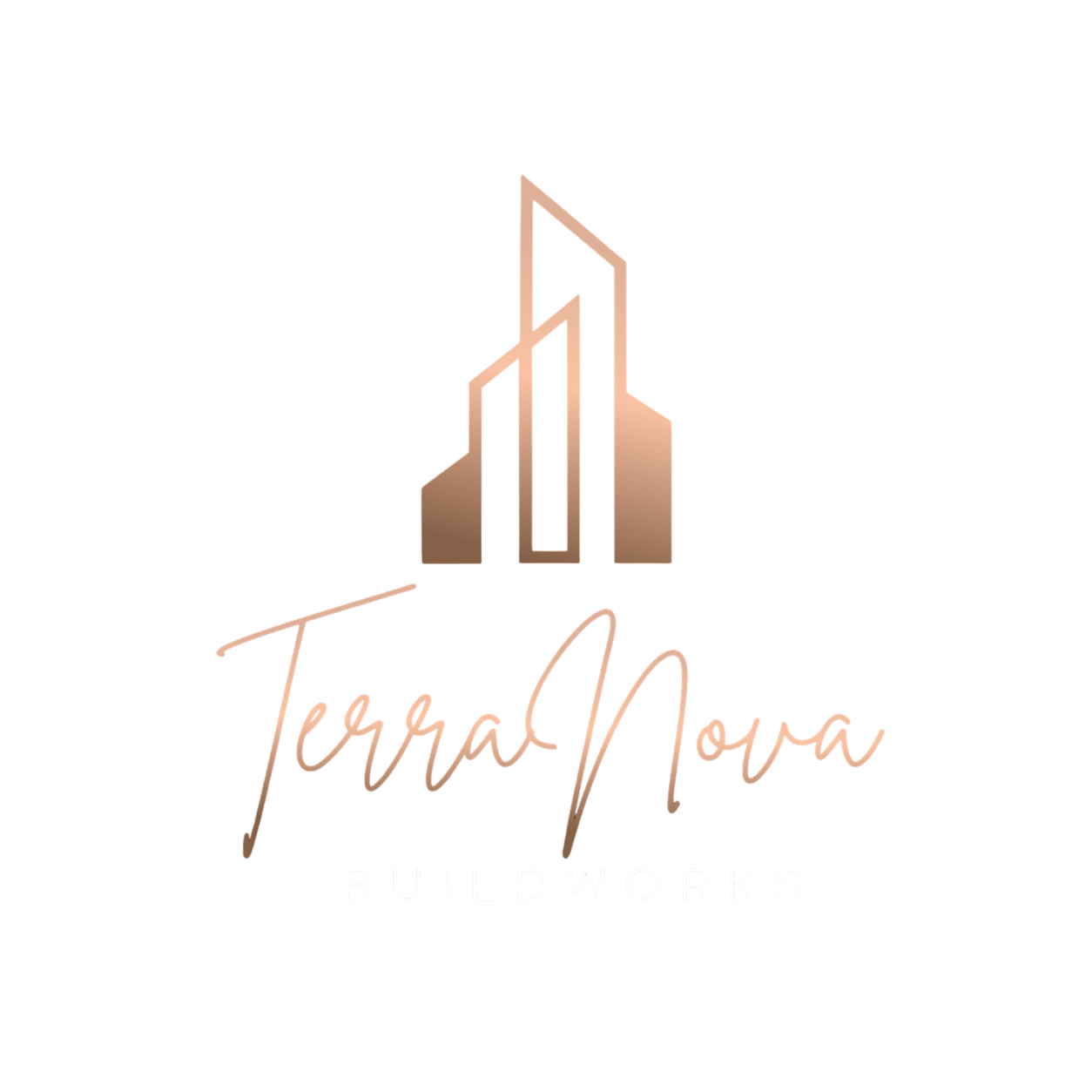 TerraNova Buildworks Logo